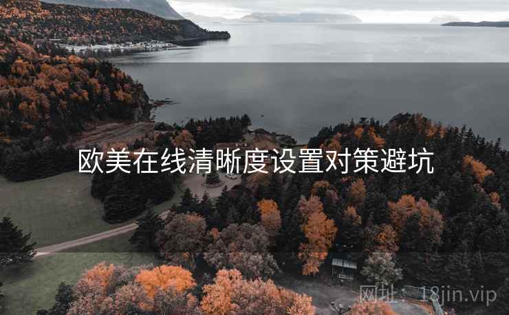欧美在线清晰度设置对策避坑