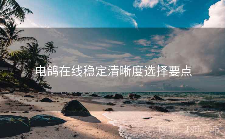 电鸽在线稳定清晰度选择要点