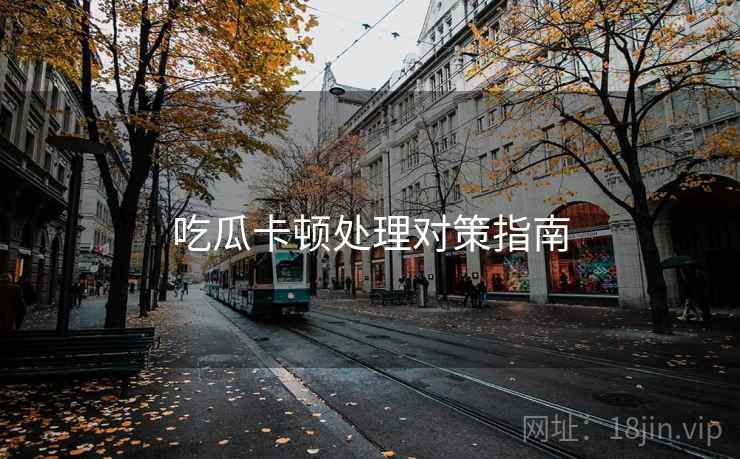吃瓜卡顿处理对策指南