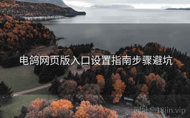 电鸽网页版入口设置指南步骤避坑