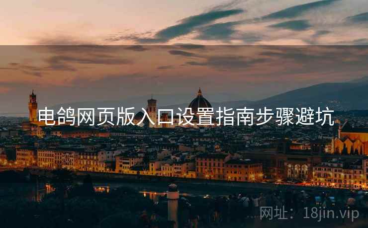 电鸽网页版入口设置指南步骤避坑