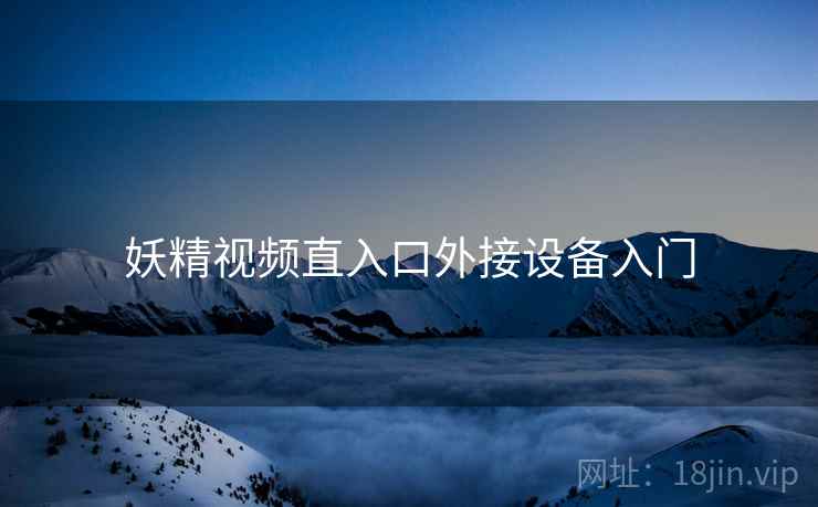 妖精视频直入口外接设备入门