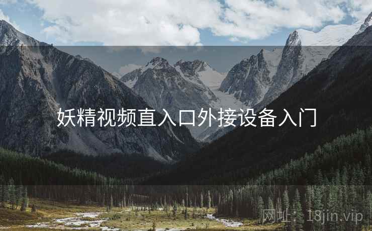 妖精视频直入口外接设备入门