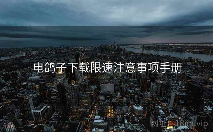 电鸽子下载限速注意事项手册