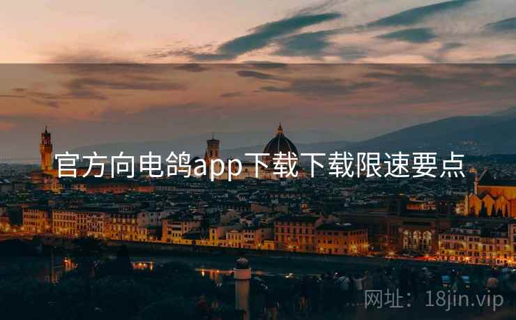 官方向电鸽app下载下载限速要点