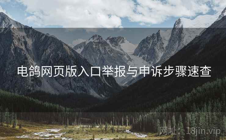 电鸽网页版入口举报与申诉步骤速查