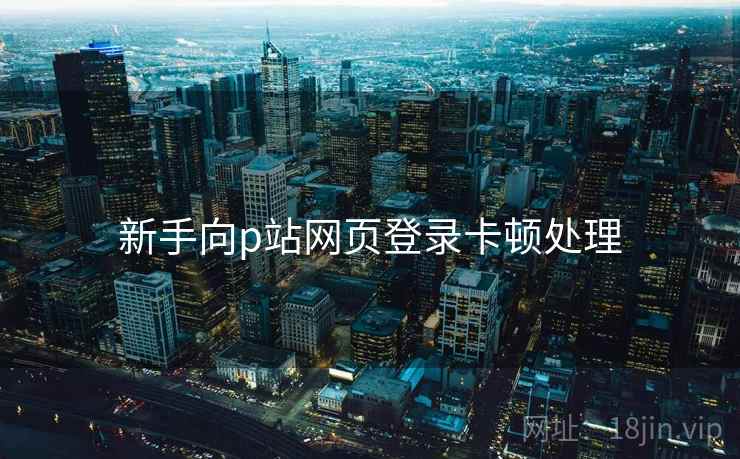 新手向p站网页登录卡顿处理