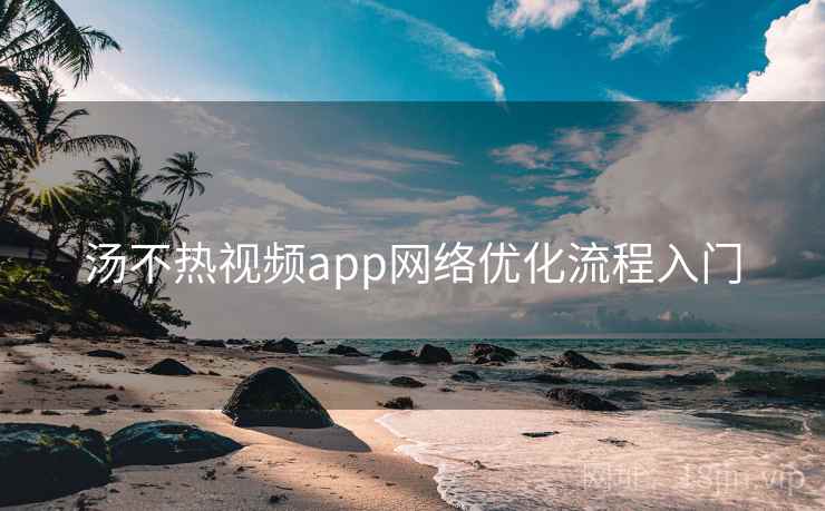 汤不热视频app网络优化流程入门