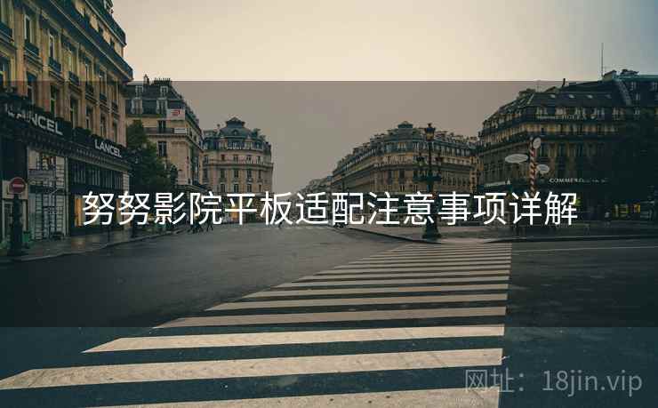 努努影院平板适配注意事项详解