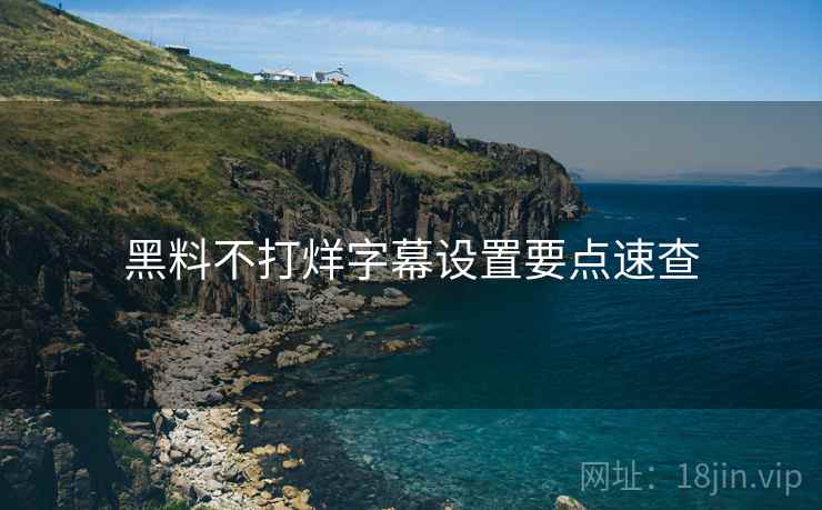 黑料不打烊字幕设置要点速查
