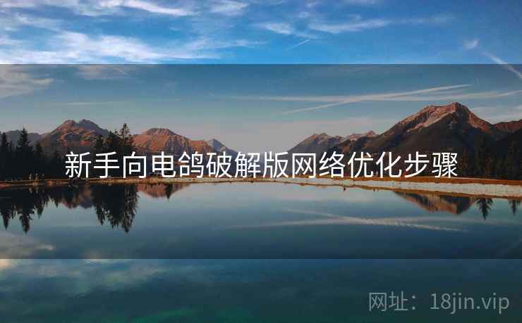 新手向电鸽破解版网络优化步骤