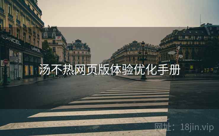 汤不热网页版体验优化手册