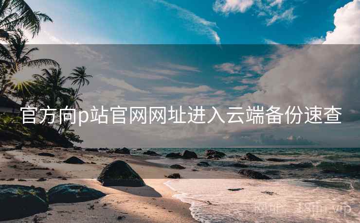 官方向p站官网网址进入云端备份速查