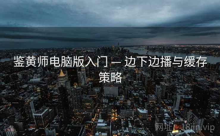 鉴黄师电脑版入门 — 边下边播与缓存策略