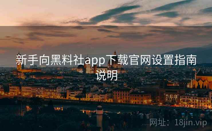 新手向黑料社app下载官网设置指南说明