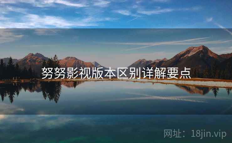 努努影视版本区别详解要点