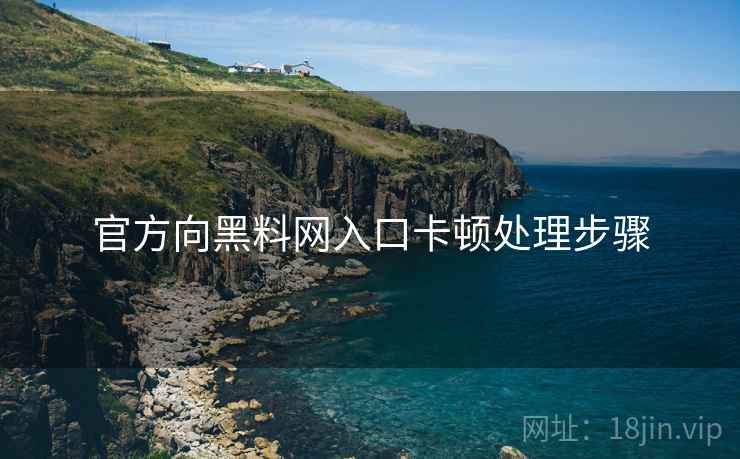 官方向黑料网入口卡顿处理步骤