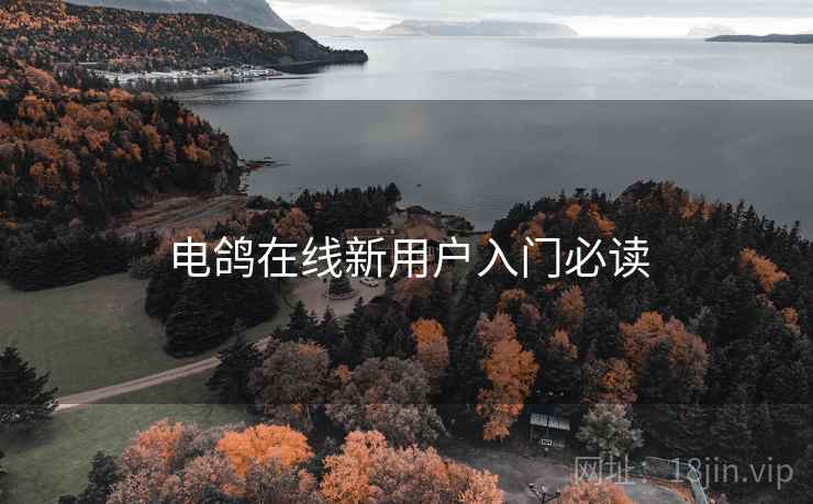 电鸽在线新用户入门必读