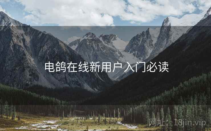 电鸽在线新用户入门必读