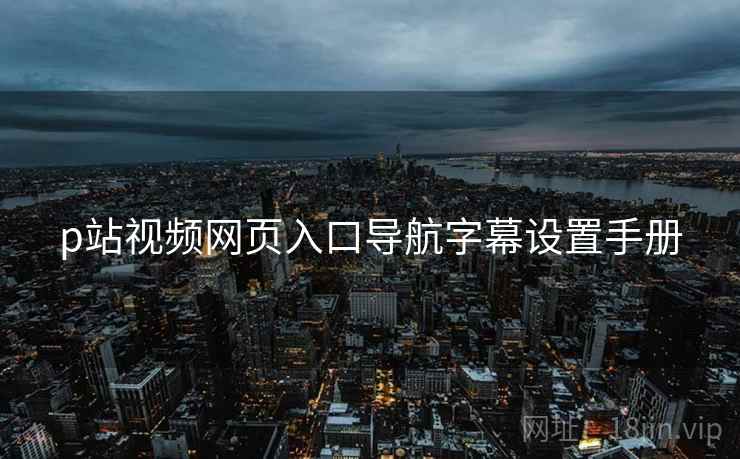 p站视频网页入口导航字幕设置手册