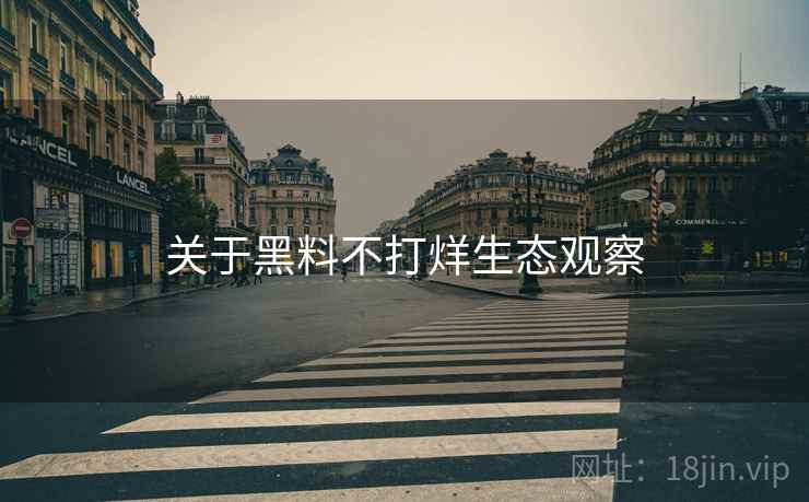 关于黑料不打烊生态观察