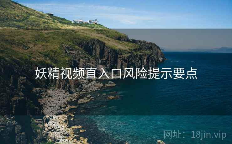 妖精视频直入口风险提示要点