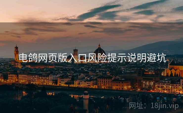 电鸽网页版入口风险提示说明避坑