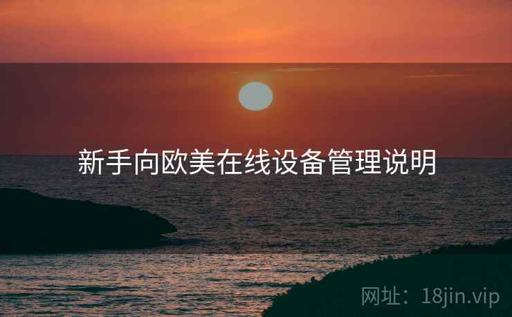 新手向欧美在线设备管理说明