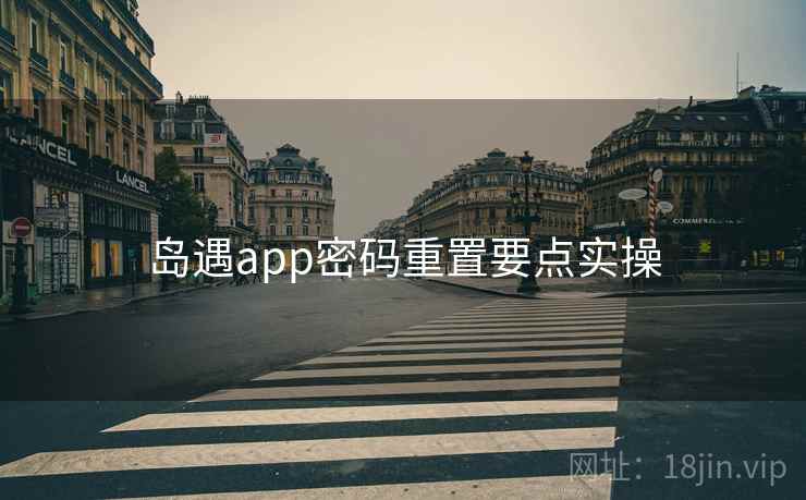 岛遇app密码重置要点实操