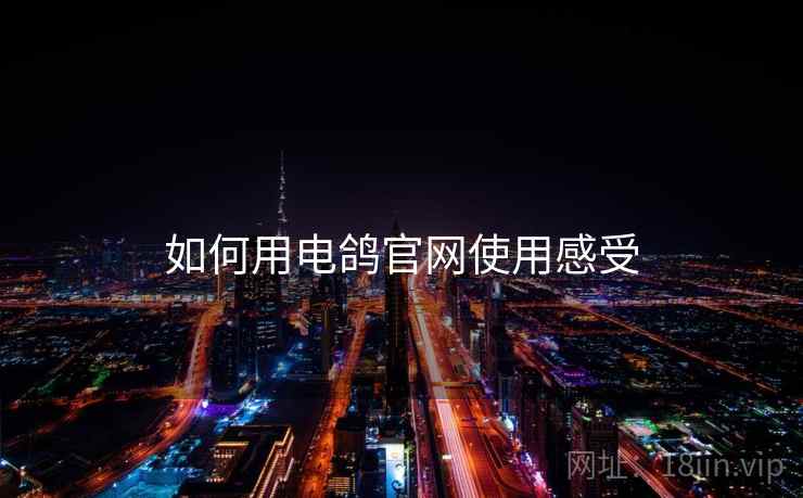 如何用电鸽官网使用感受