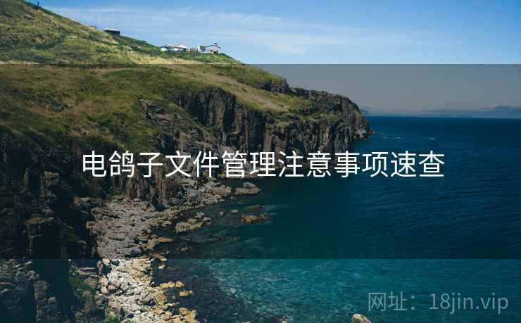 电鸽子文件管理注意事项速查