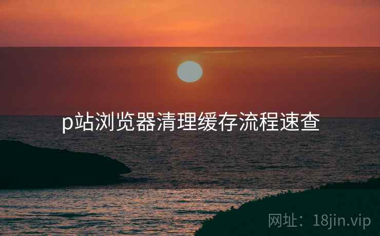 p站浏览器清理缓存流程速查