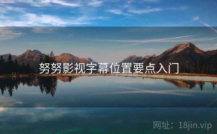 努努影视字幕位置要点入门